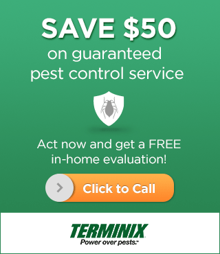 Terminix Phone Number
